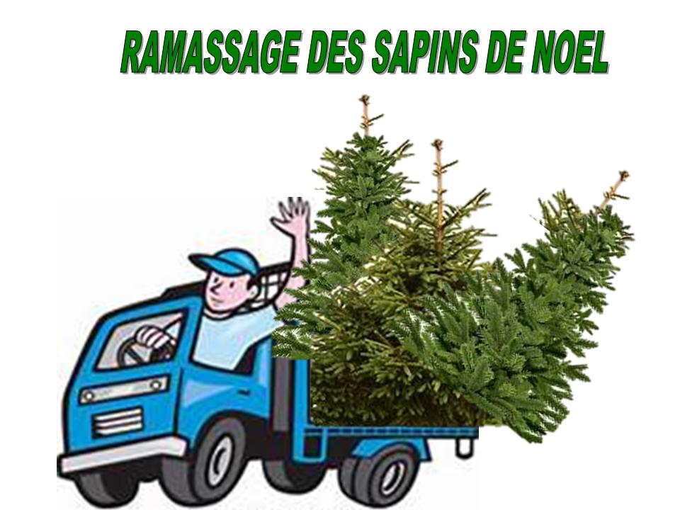 RAMASSAGE DE SAPINS - Mairie de DUNG