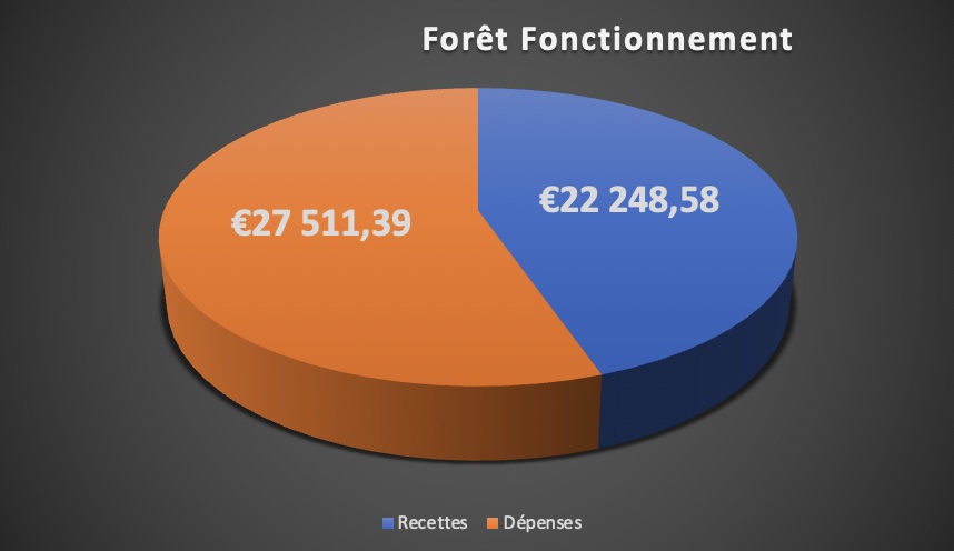 forêt fonctionnement3