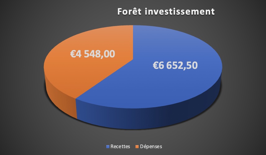 forêt investissement2