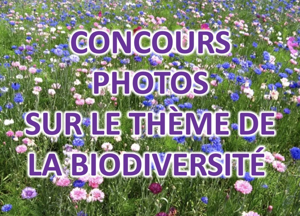 CONCOURS PHOTOS