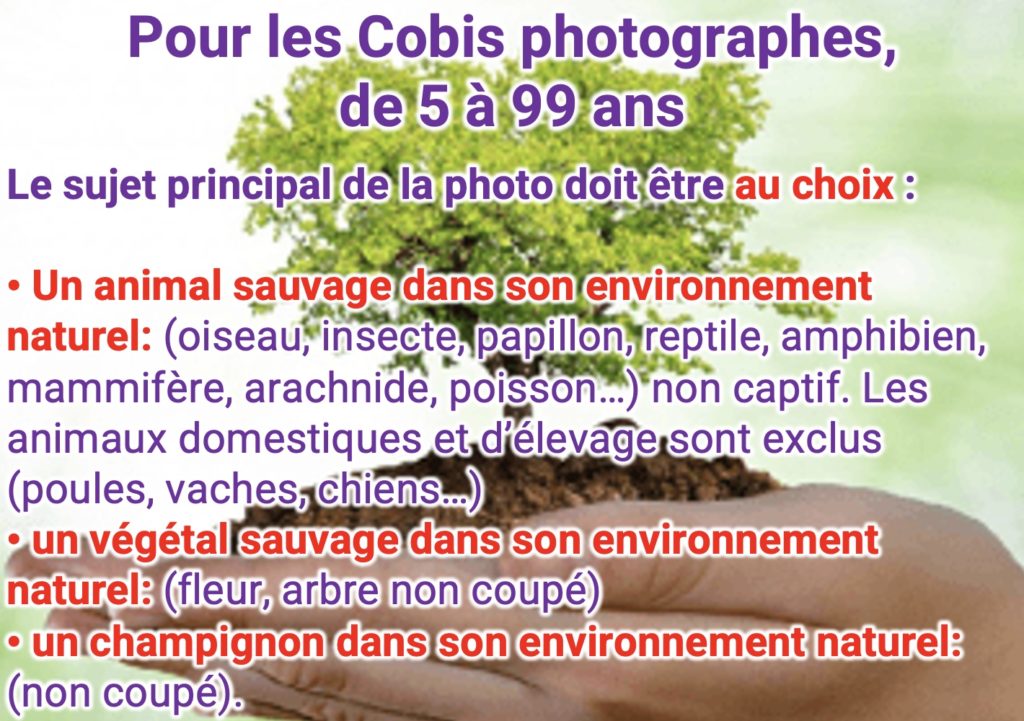 concours photos3