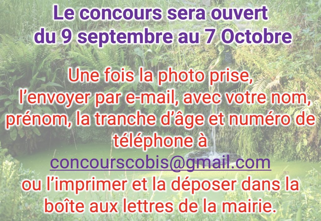 concours photos6