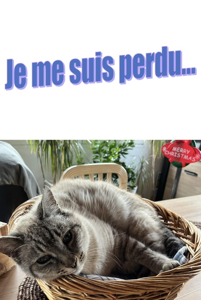 PERDU CHAT