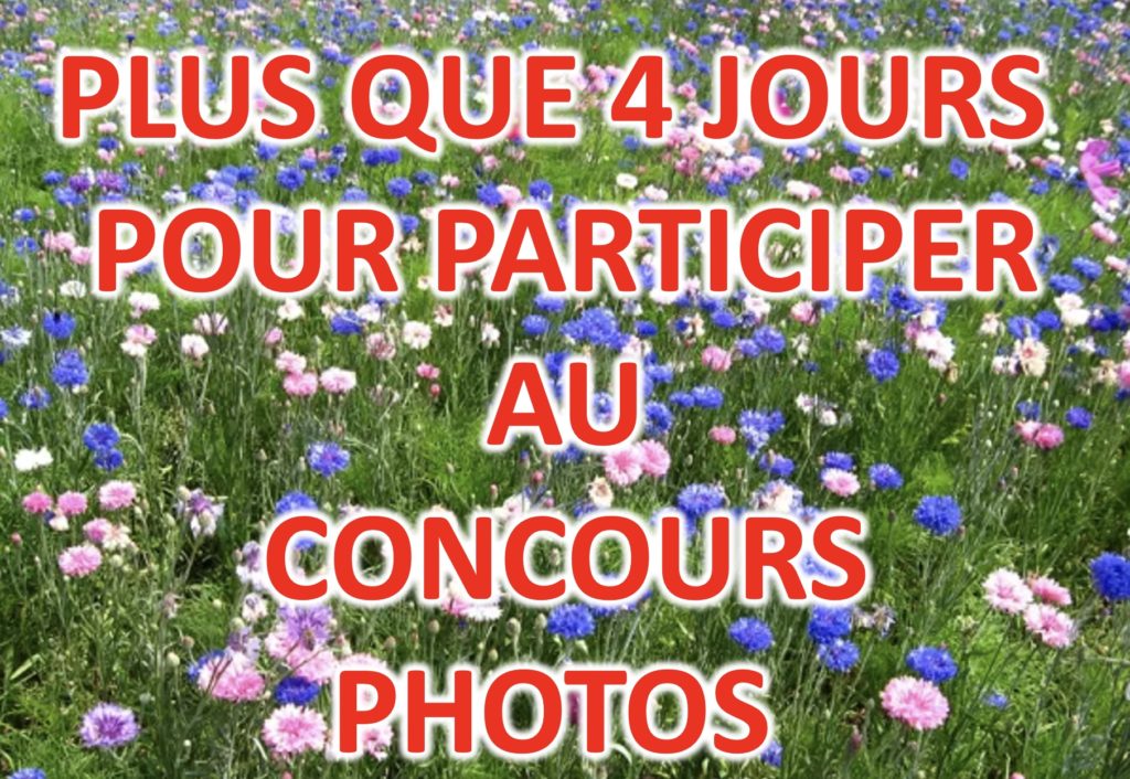 relance concours photo1