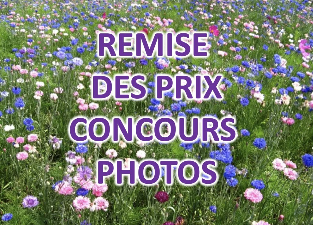 résultats concours photos1