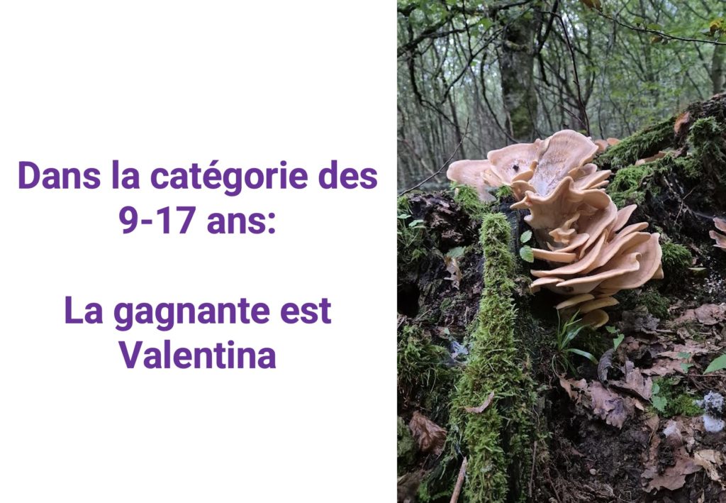 résultats concours photos6