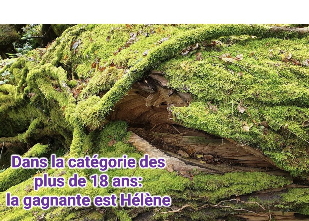 résultats concours photos7