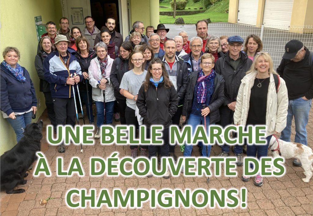 marche mycologique1