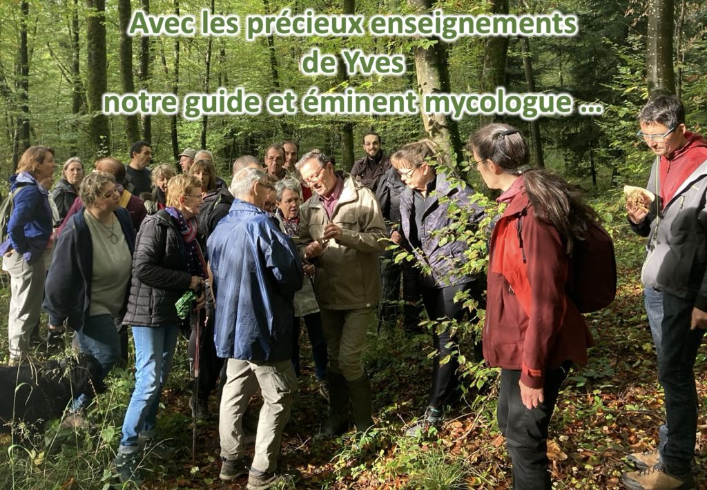 marche mycologique10