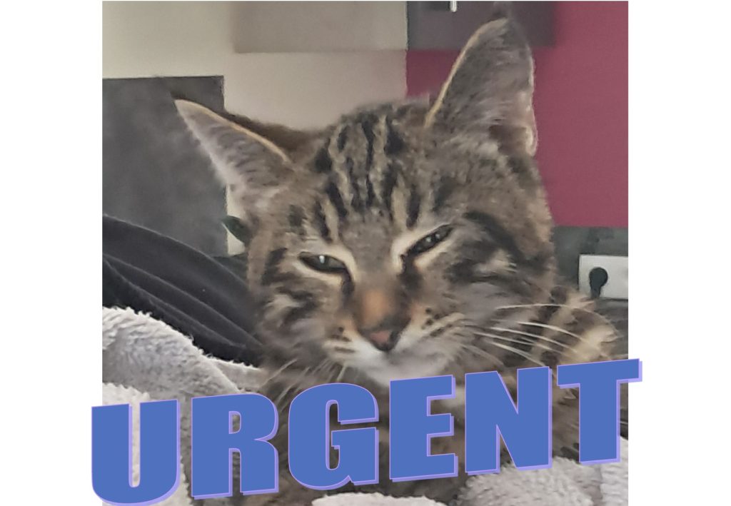 URGENT